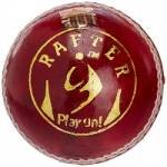 SM Rafter Cricket Ball